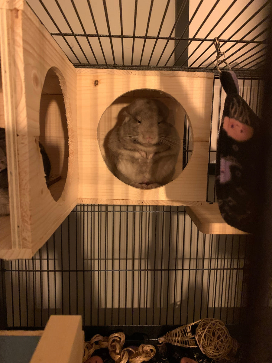 Kathson Chinchilla-Haus Aus Holz – Handgefertigte Nisthöhle Mit Kletterplattform Für Kleintiere (4 Stück)