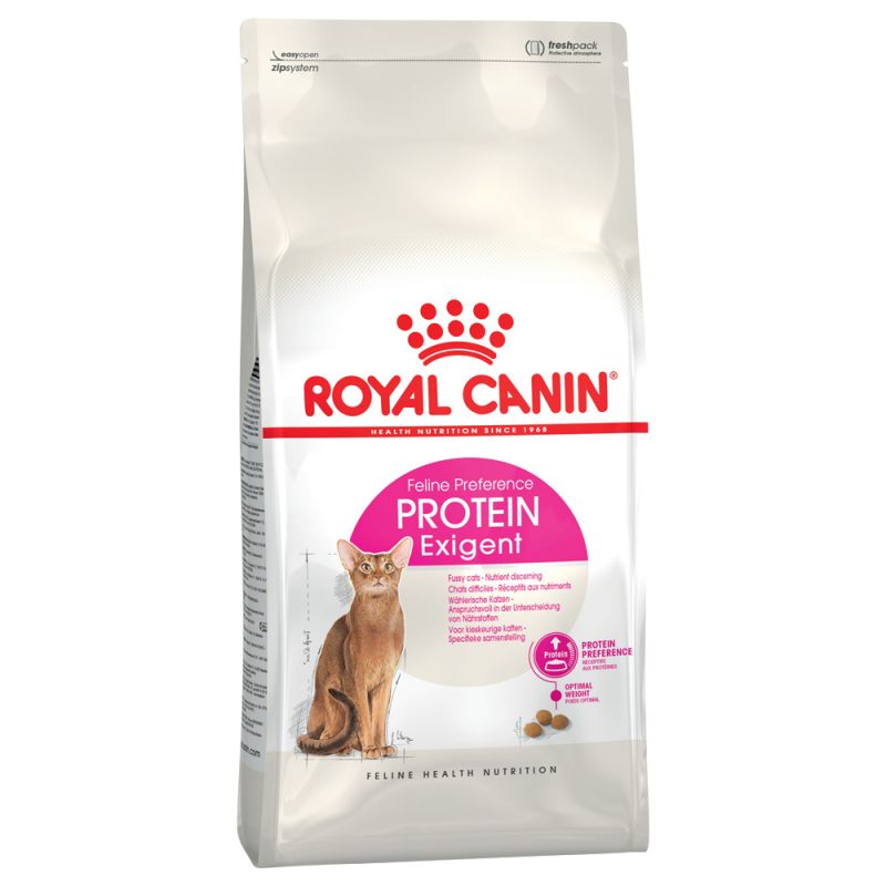 Protein supplements for cats cheap