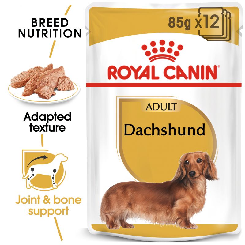 Royal Canin Breed Wet Dackel Mousse Hundefutter PETSGANG HOUSES