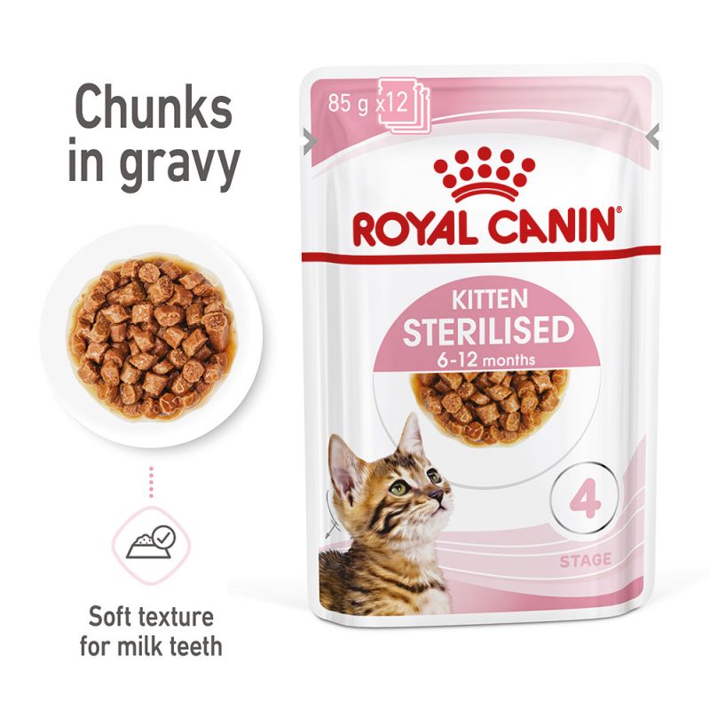 Royal canin 2025 babycat food