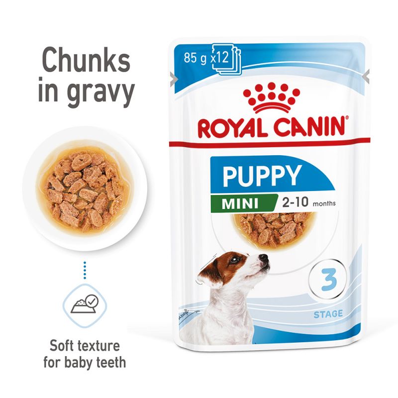Royal sale canin korea