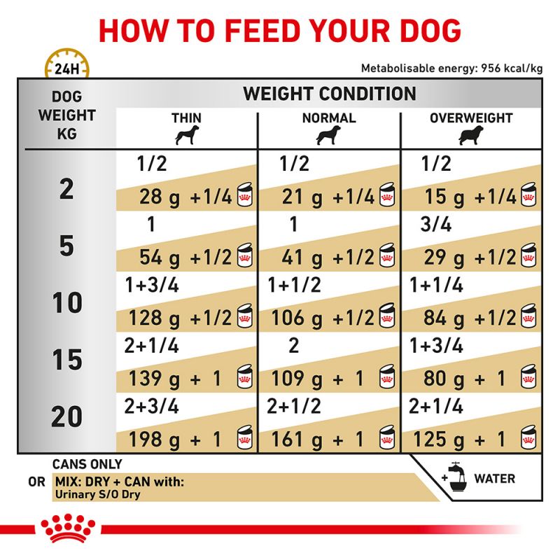 Royal canin so feeding guide sale