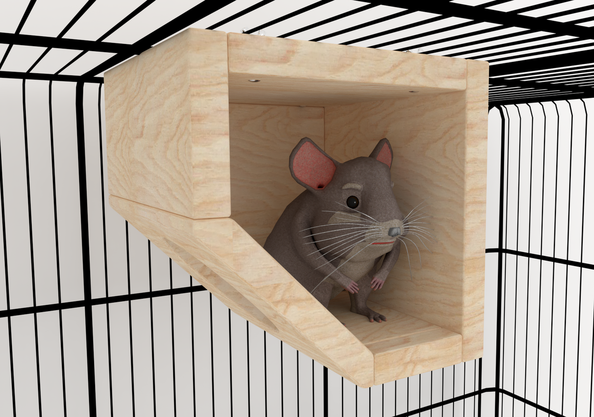 Corner Box Chinchilla Cage