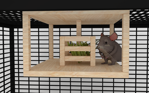 Wooden With Food Storage Chinchilla Cage