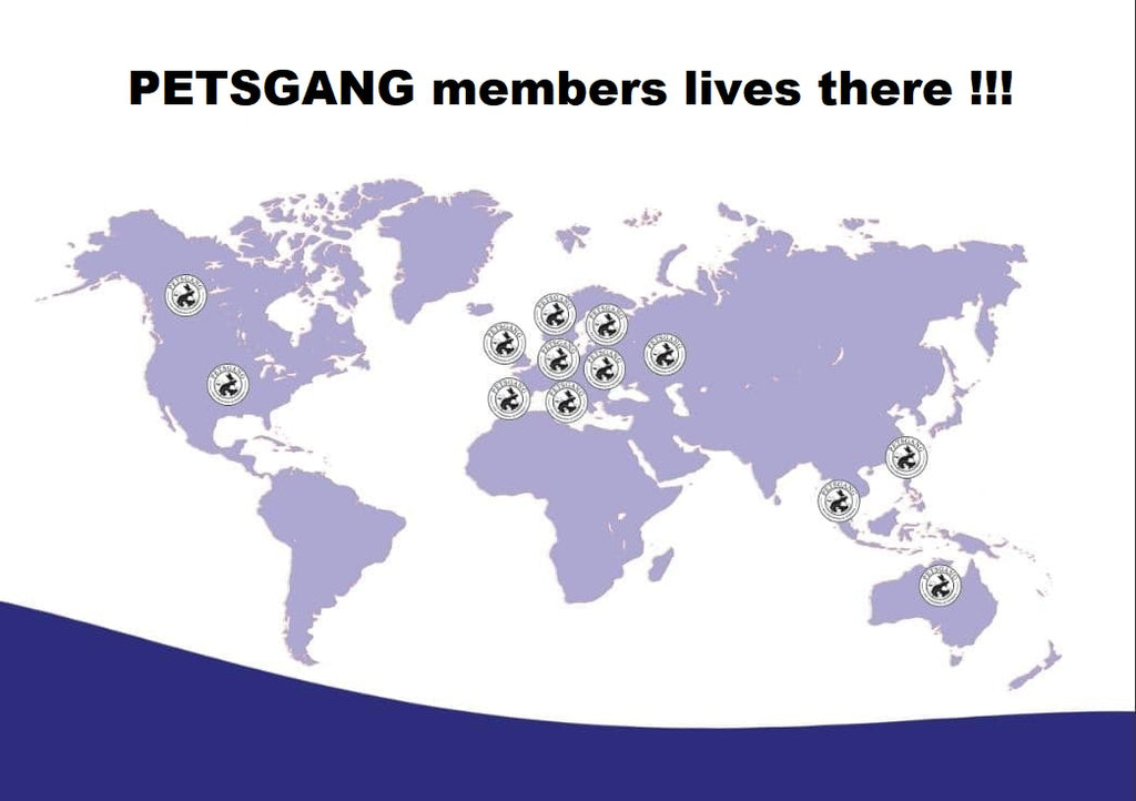 Petsgang members lives there !!!
