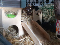 Liner for Guinea Pig Castle