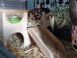 Liner for Guinea Pig Castle