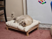 Elevated pet bed raised sofa bed suitable for cats and small sized dogs