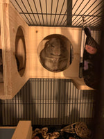 Wooden Tunnel Chinchilla Cage