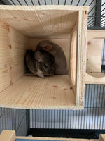 Wooden Tunnel Chinchilla Cage