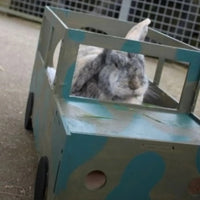 Jeep Rabbit Hutch House
