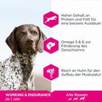 Eukanuba Daily Care Adult Working &amp; Endurance Hundefutter