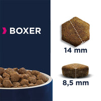 Eukanuba Boxer Adult Dog Food
