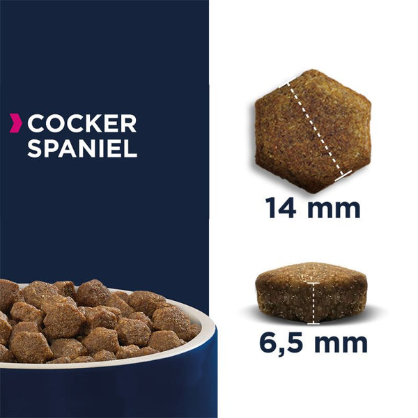 Eukanuba cocker spaniel online