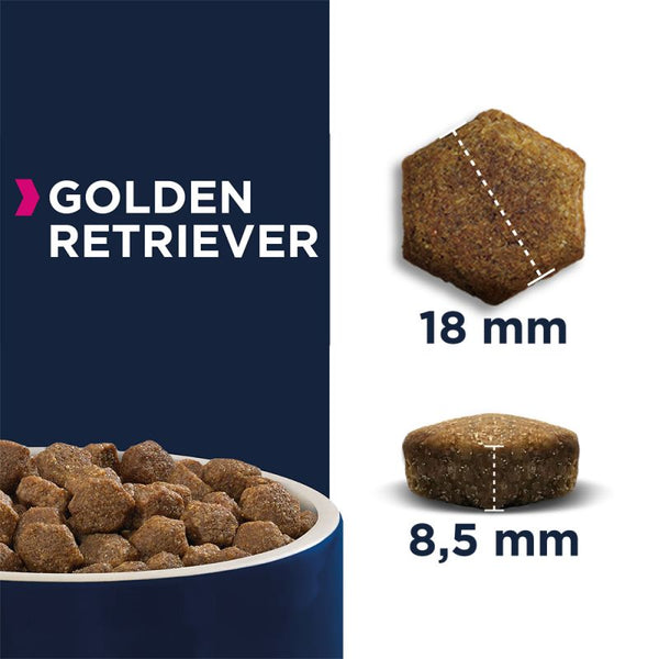 Eukanuba Golden Retriever Adult Dog Food PETSGANG