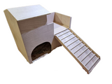 Tortue Reptile Vivarium Terrarium Maison