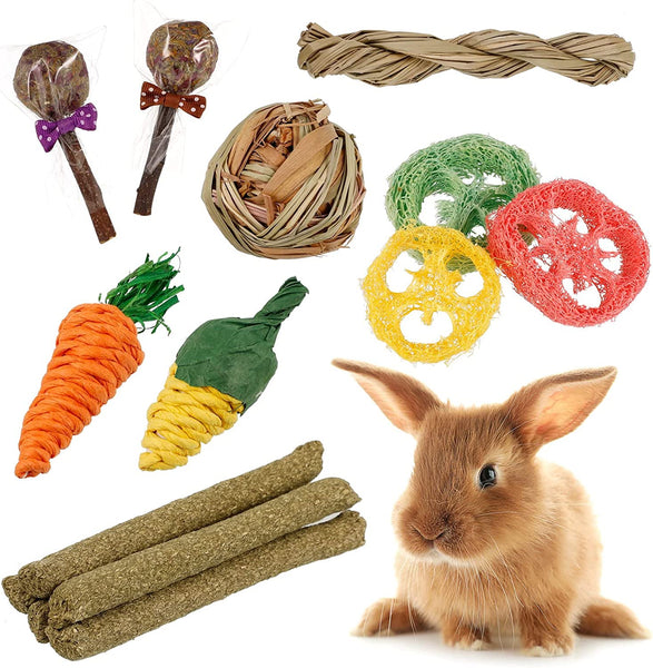 14Pcs Rabbit Chew Toys