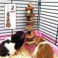 Natural Organic Apple Wood Chew Toys 2 Pack