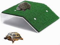 Tortoise Basking Terrace