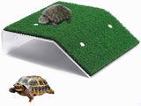 Tortoise Basking Terrace