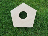 FBI Pentagon Guinea Pig Hutch House