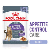 Royal Canin Appetite Control in Jelly Cat Food