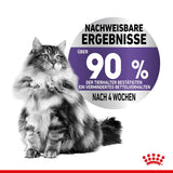 Royal Canin Appetite Control in Jelly Cat Food