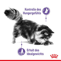 Royal Canin Appetite Control in Jelly Cat Food
