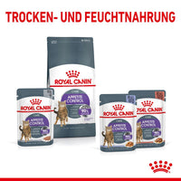 Royal Canin Appetite Control in Jelly Cat Food
