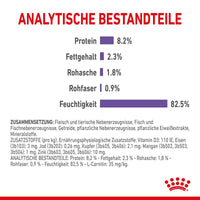 Royal Canin Appetite Control in Jelly Cat Food