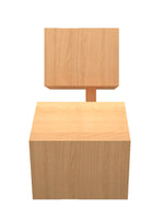 2 Tiered Cat House