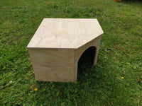 Corner Tortoise Table Vivarium House