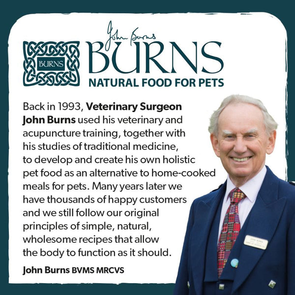 Burns dog food grain free top