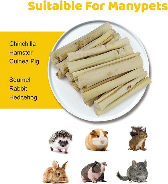 Natuurlijke Knaagsticks Cavia's 12 Stück Hamster Molar Rod Sweet Bamboo Chew Stick Haustier Kaninchen Tanden Slijpen Speelgoed Natuurlijke Knaagsticks Cavia's 12 Stück Hamster Molar Rod Sweet Bamboo Chew Stick Haustier Kaninchen Tanden Slijpen Speelgoed