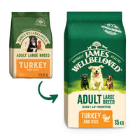 James Wellbeloved Adult Large Breed - Turkey & Rice Dog Food