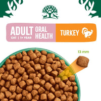 James Wellbeloved Adult Cat Oral Health - Turkey Cat Food