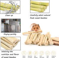 Bunny Chew Toys