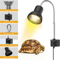 Wärmelampe für Schildkröten