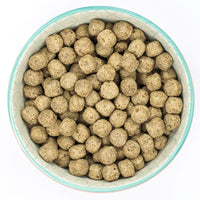 Burns Adult & Senior - Hypo-Allergenic Mixer Dog Food