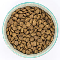 Burns Puppy Mini - Chicken & Rice Dog Food