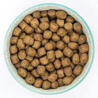 Burns Adult & Senior Sensitive - Duck & Brown Rice Dog Food