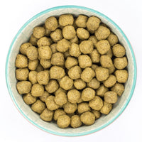 Burns Adult & Senior Sensitive - Fish & Wholegrain Maize Dog Food