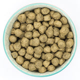 Burns Adult Sensitive - Pork & Potato Dog Food