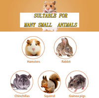 Bunny Chew Toys