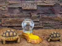 Distributeur d'eau pour reptiles