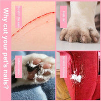 Cat Nail Trimmer with Safety Guard