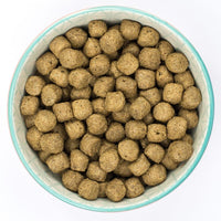 Burns Adult & Senior Original - Fish & Brown Rice Dog Food