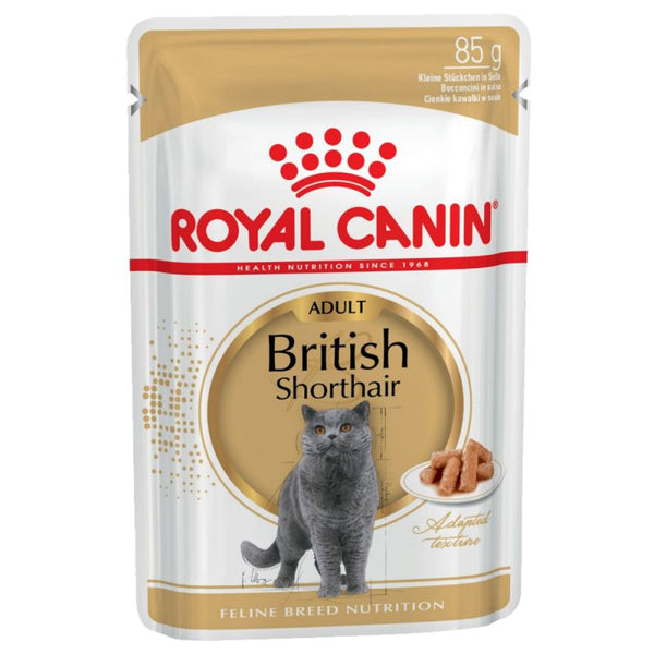 Royal canin wet outlet kitten food