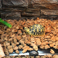 Reptile Heating Mat with Temperature Adjustment