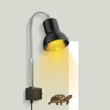 Wärmelampe für Schildkröten